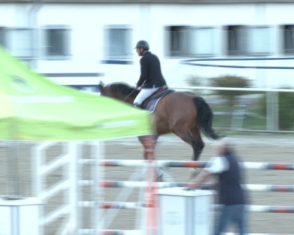 Reitturnier Margarethen am Moos 2025