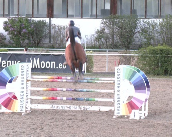 Reitturnier Margarethen am Moos 2025