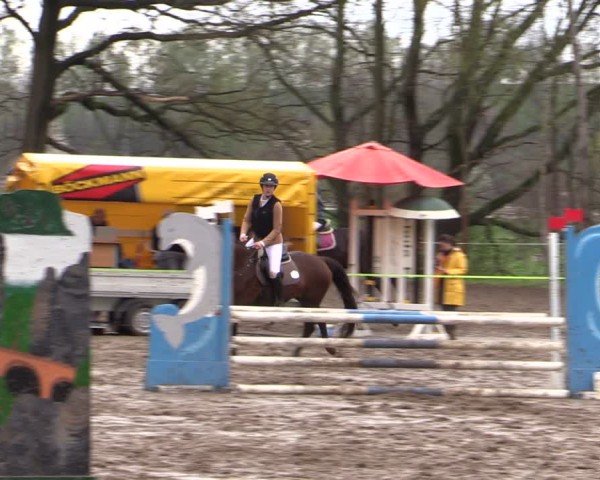 Reitturnier Langenleuba - Oberhain 2025