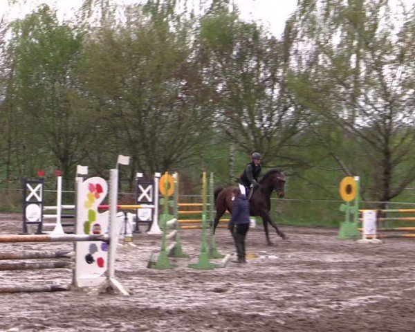 Reitturnier Langenleuba - Oberhain 2025