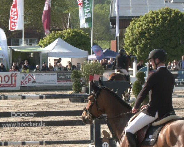 Reitturnier Werne-Lenklar 2025