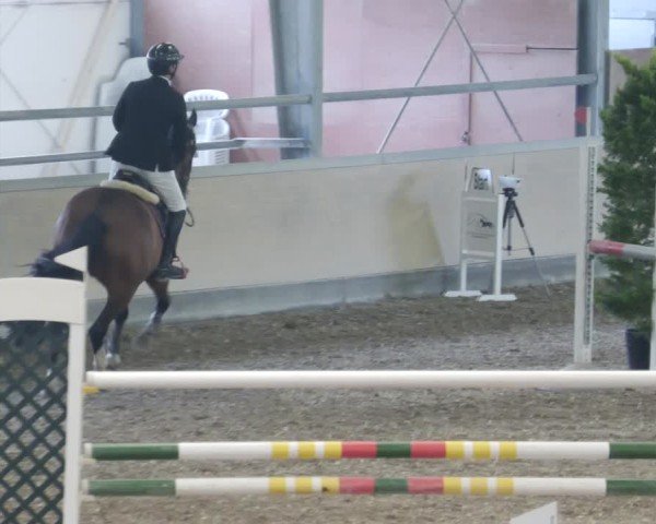 Reitturnier Waghäusel-Wiesental 2025