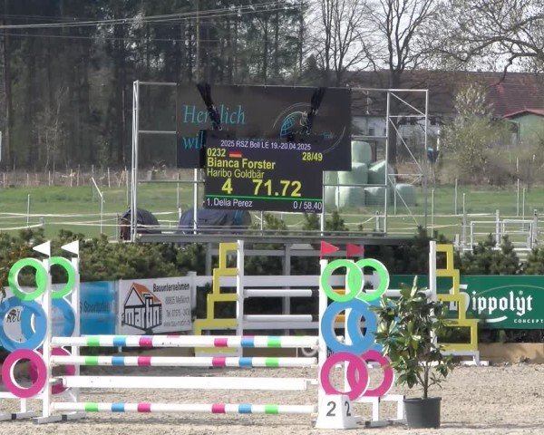 Reitturnier Sauldorf-Boll 2025