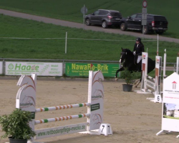 Reitturnier Duderstadt 2025