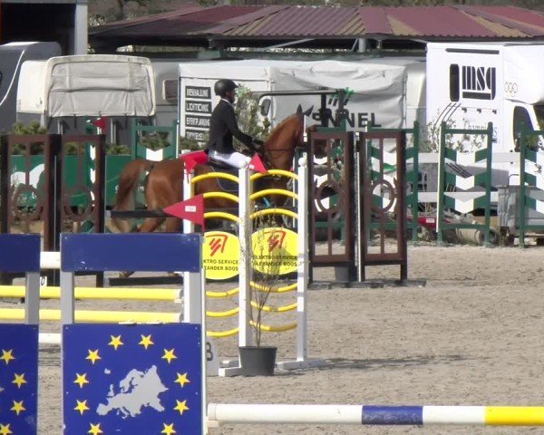 Reitturnier Sauldorf-Boll 2025