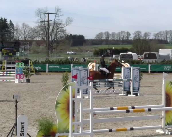 Reitturnier Sauldorf-Boll 2025