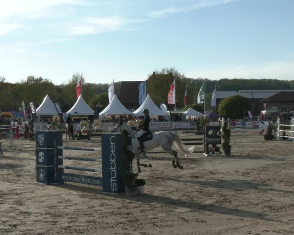 Lenklarer Reitertage Werne 2025