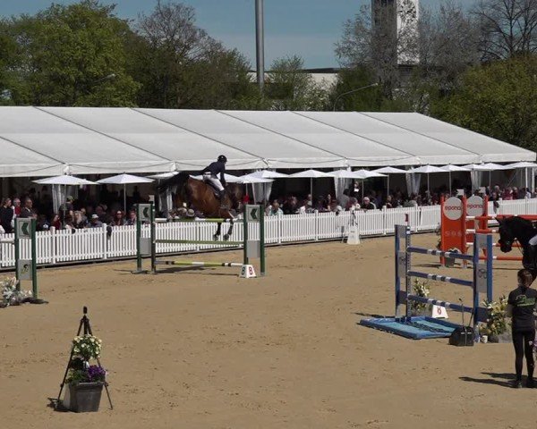 Reitturnier Amriswil 2025