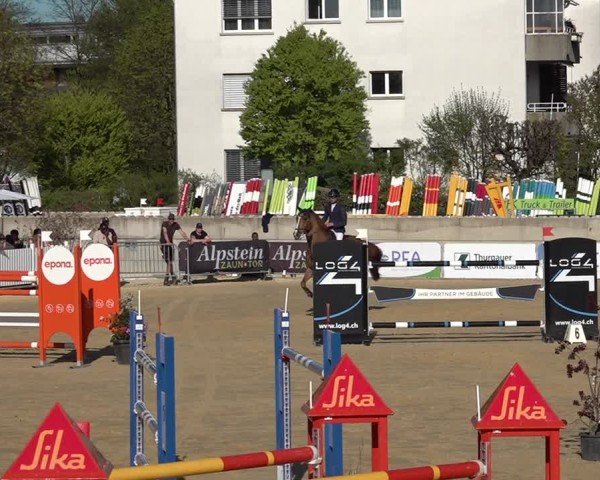 Reitturnier Amriswil 2025