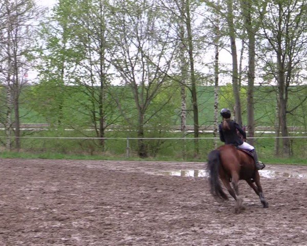 Reitturnier Langenleuba - Oberhain 2025