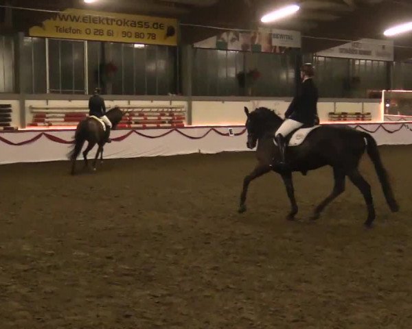 Hallen Late-Entry des RV Südlohn-Oeding 2014