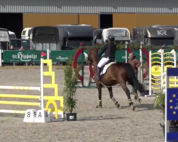 Reitturnier Sauldorf-Boll 2025
