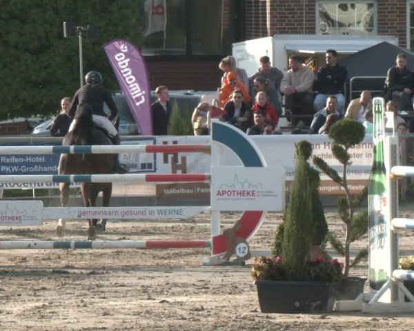 Lenklarer Reitertage Werne 2025