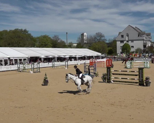 Reitturnier Amriswil 2025