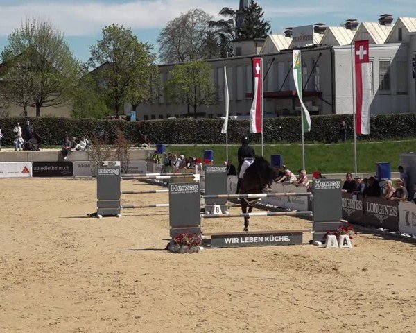 Reitturnier Amriswil 2025
