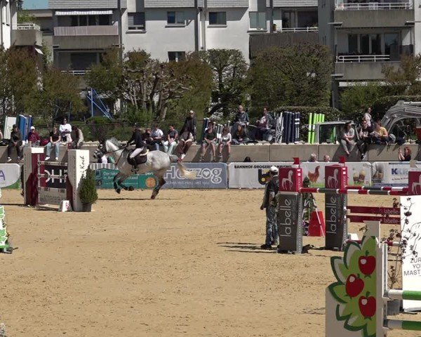 Reitturnier Amriswil 2025