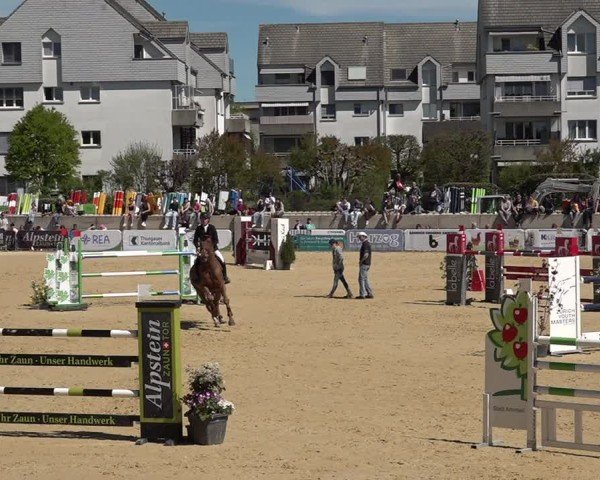 Reitturnier Amriswil 2025