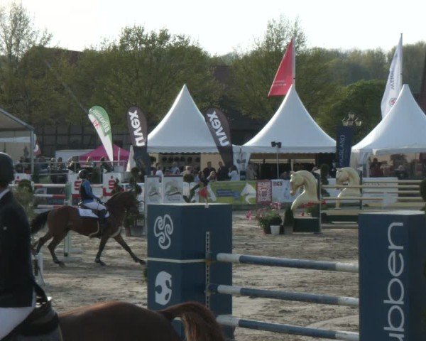 Reitturnier Werne-Lenklar 2025