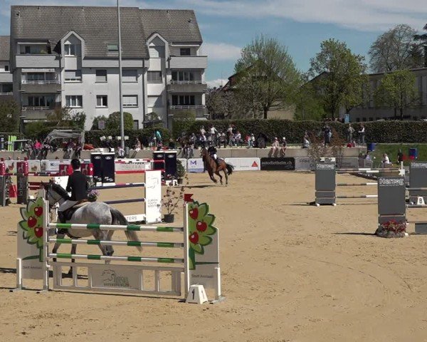 Reitturnier Amriswil 2025