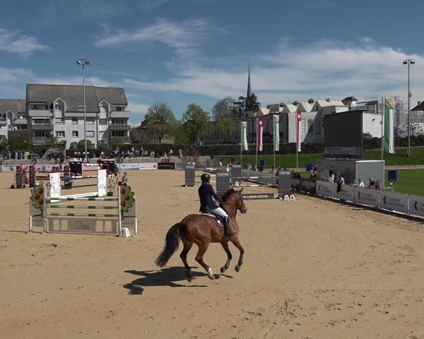 Reitturnier Amriswil 2025