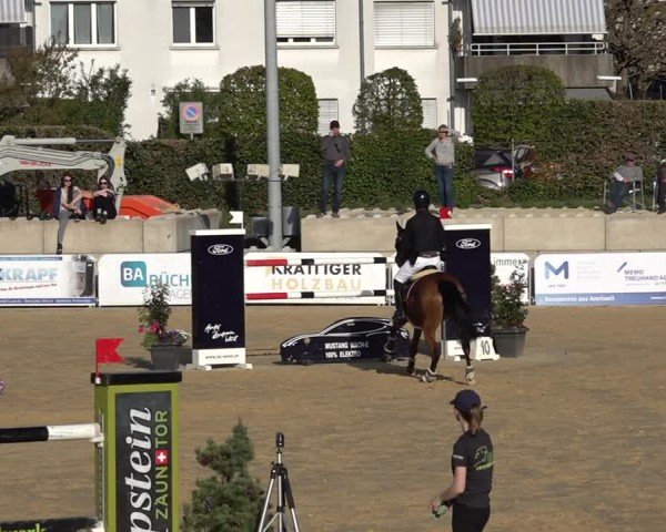 Reitturnier Amriswil 2025