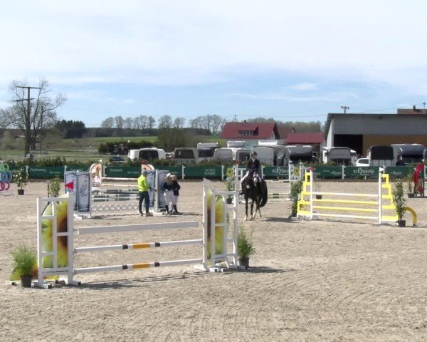 Reitturnier Sauldorf-Boll 2025