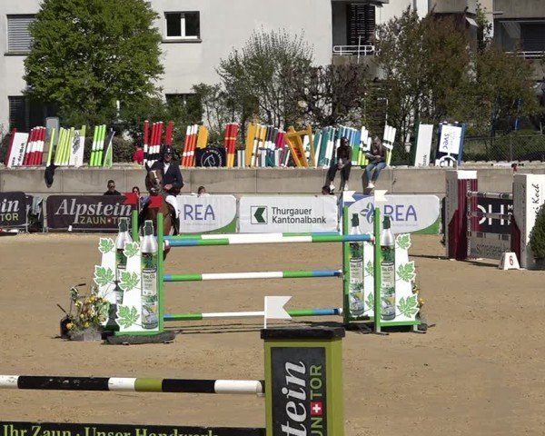Reitturnier Amriswil 2025