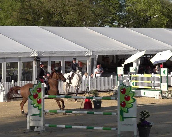 Reitturnier Amriswil 2025