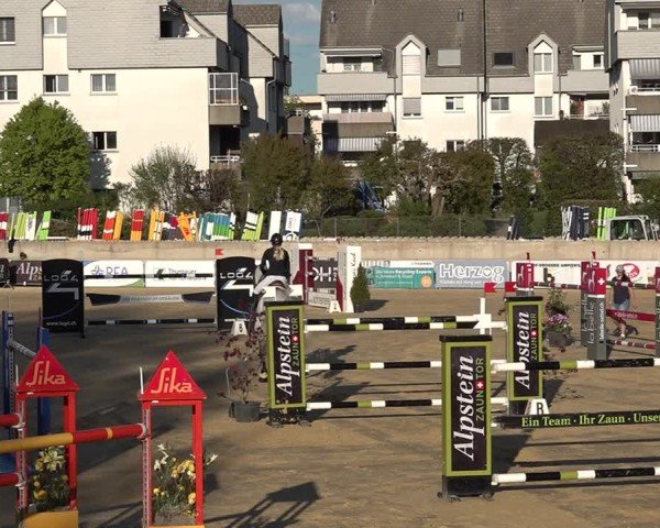 Reitturnier Amriswil 2025