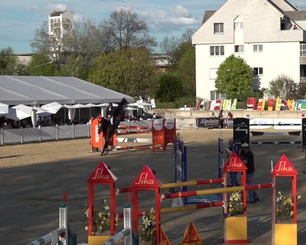 Reitturnier Amriswil 2025