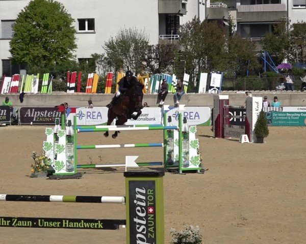 Reitturnier Amriswil 2025