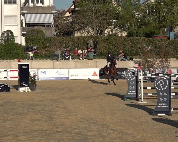 Reitturnier Amriswil 2025
