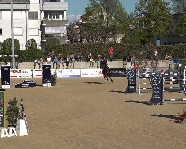 Reitturnier Amriswil 2025