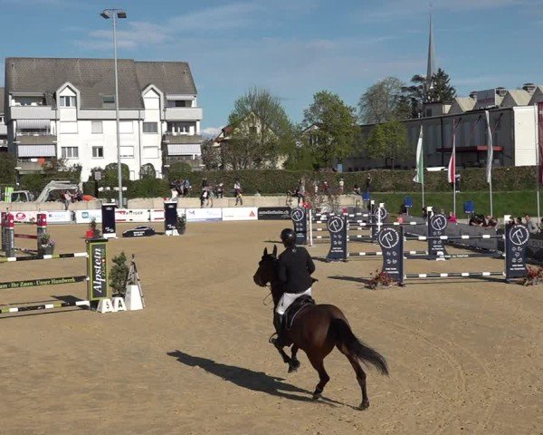 Reitturnier Amriswil 2025