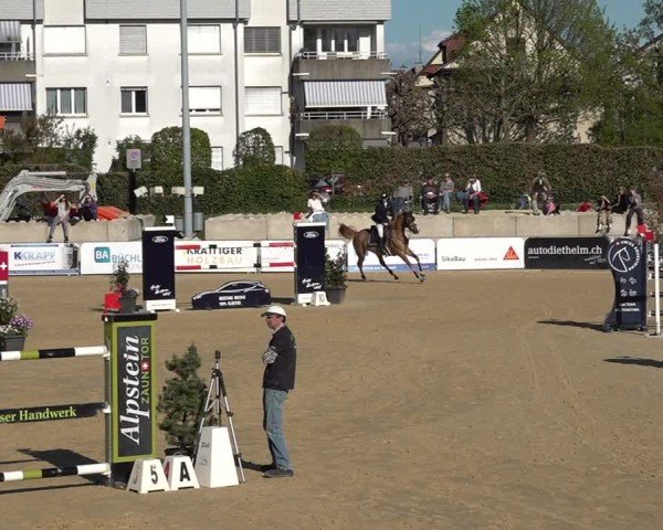 Reitturnier Amriswil 2025