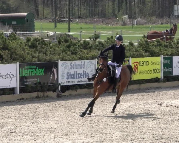 Reitturnier Sauldorf-Boll 2025