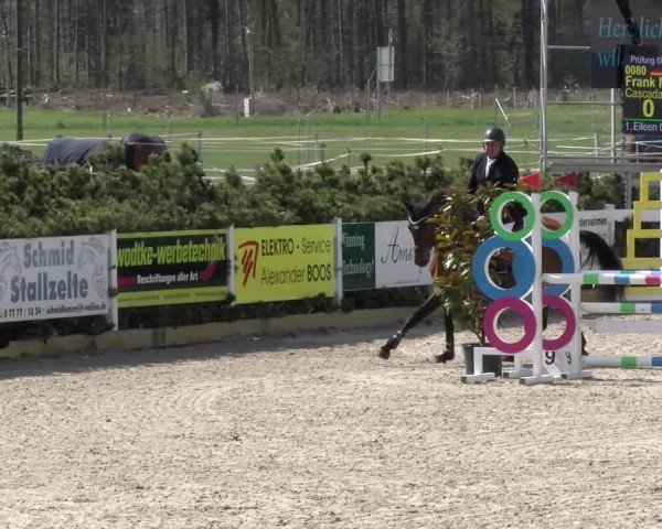 Reitturnier Sauldorf-Boll 2025