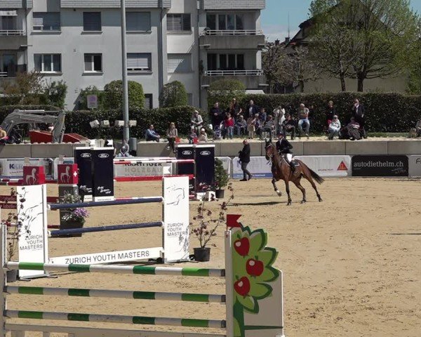 Reitturnier Amriswil 2025