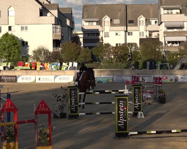 Reitturnier Amriswil 2025