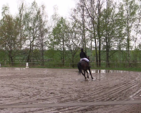 Reitturnier Langenleuba - Oberhain 2025