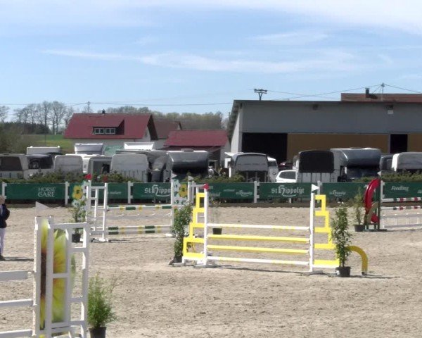 Reitturnier Sauldorf-Boll 2025