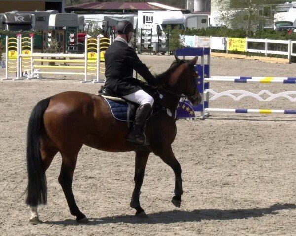Reitturnier Sauldorf-Boll 2025