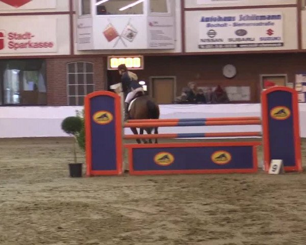 Hallenspringturnier Barlo Bocholt 2014