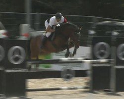 jumper Chuck 23 (Zweibrücken, 2006, from Calando V)