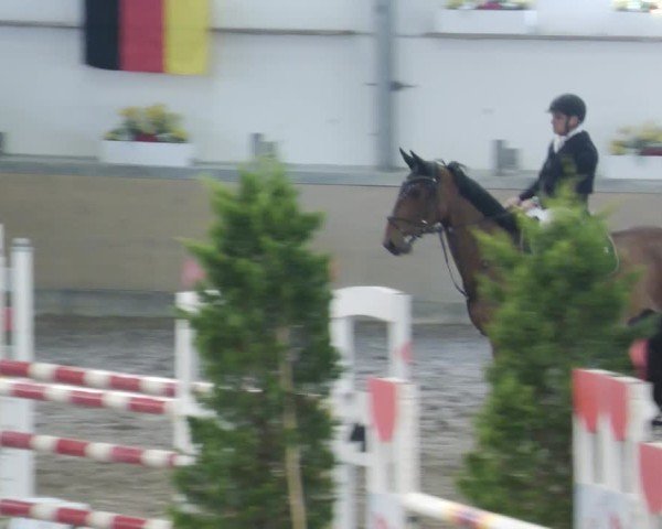 Reitturnier Waghäusel-Wiesental 2025