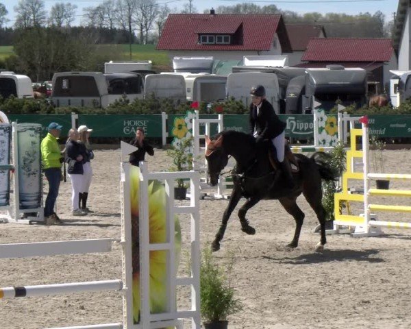 Reitturnier Sauldorf-Boll 2025