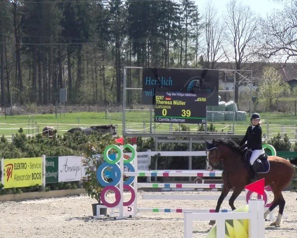 Reitturnier Sauldorf-Boll 2025