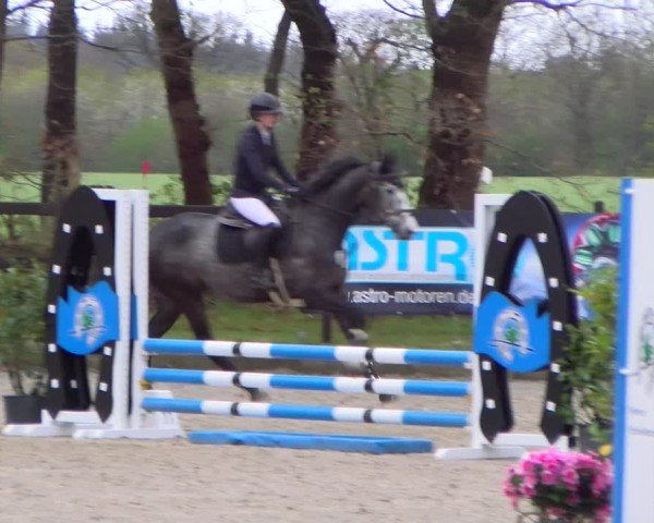 Reitturnier Elmlohe 2025