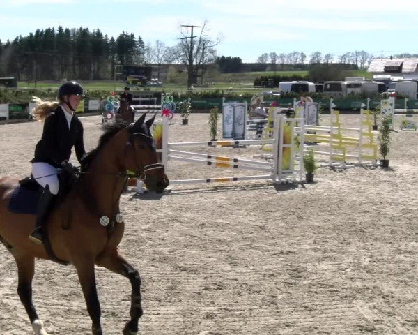 Reitturnier Sauldorf-Boll 2025