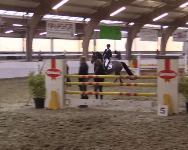 Hallenspringturnier Barlo Bocholt 2014